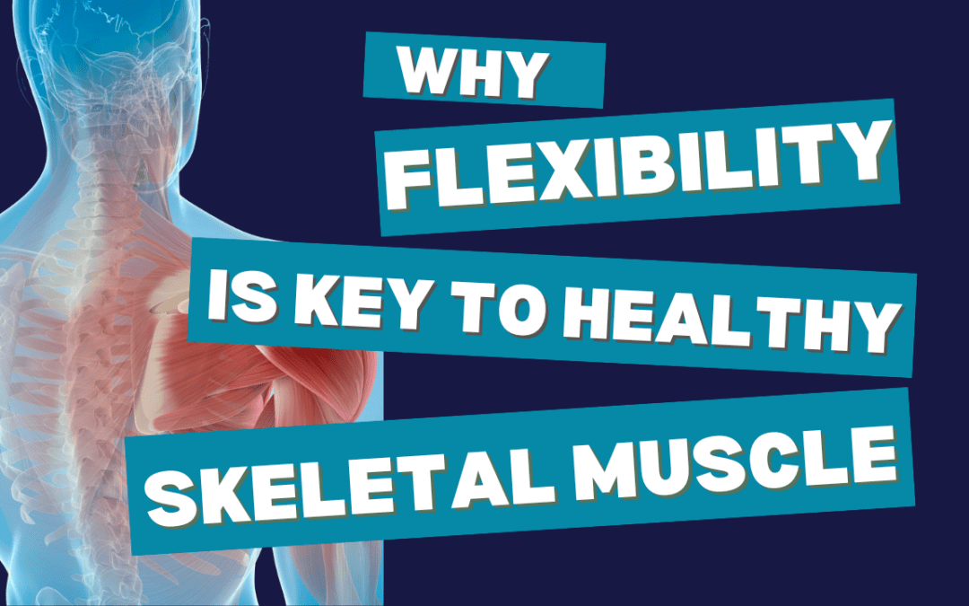 Flexibility: The Foundation of Healthy Skeletal Muscle Mass