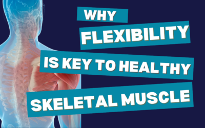 Flexibility: The Foundation of Healthy Skeletal Muscle Mass